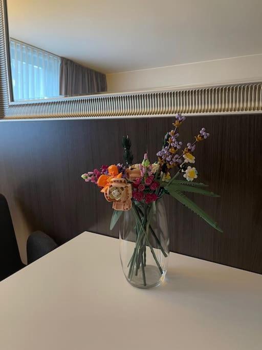 Apartment Gemütliches 778 Nähe Medienhafen S-bahn Und Free Parken *